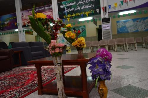 DSC 0043 (1)