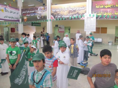 IMG 0064 (1) (1) (1)