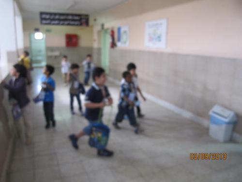 IMG 0066 (1) (1) (1) (1) (1) (1)