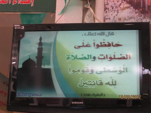 IMG 0070 (1) (1) (1) (1) (1) (1) (1) (1)