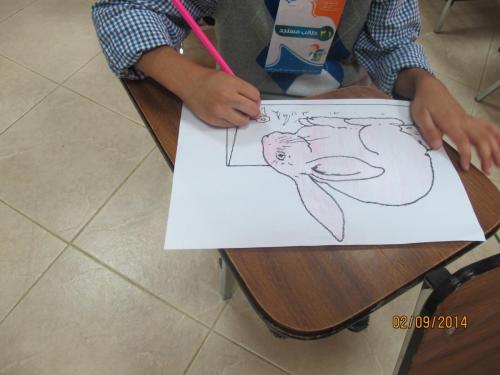 IMG 0010 (1) (1) (1)