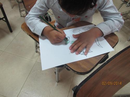 IMG 0011 (1) (1) (1)